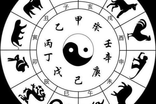 生肖天干地支排序(12生肖天干地支图)