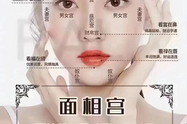 面部风水学入门图解