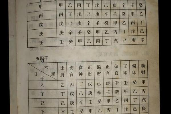 乙丑天干地支详解_八字天干地支详解