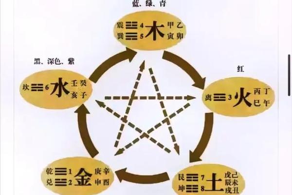 天干地支属什么属性、天干地支所属五行