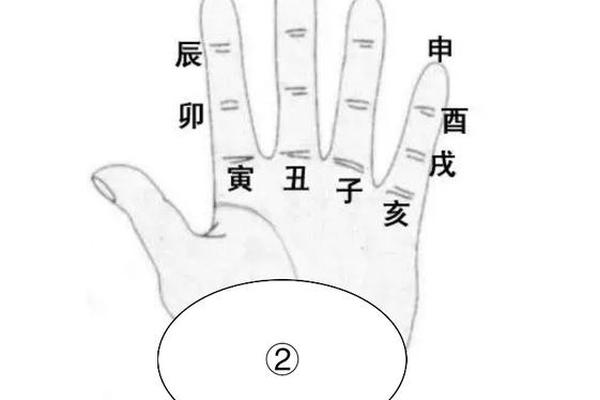 天干地支手指算(天干地支用手掌算)