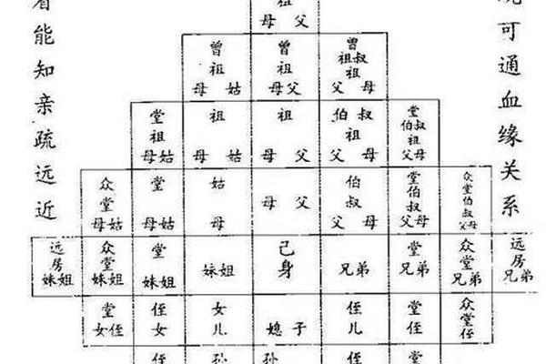 天干地支九族(三族九族指什么)