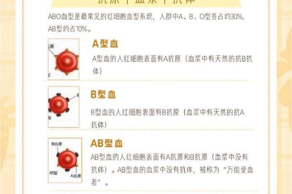 a型血血型献血_a型血可以献血给什么血型的人