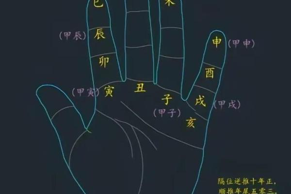 天干地支掌中—天干地支中的天干和地支是哪些