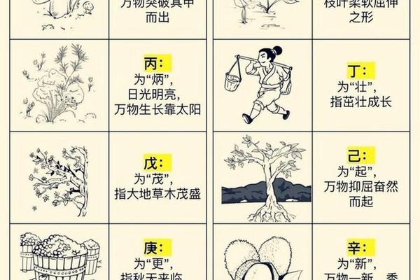 天干地支甲寅(甲寅天干地支是什么关系)