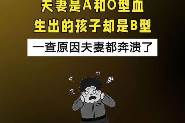 妈妈a血型儿子a血型_哪两血型不适合做夫妻