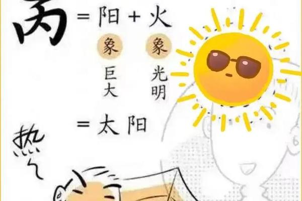 天干地支丙子—丙子属水还是火