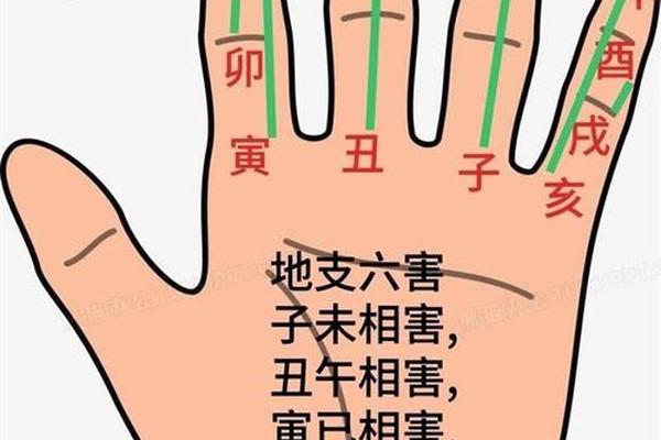 左手手相天干地支、十二地支在手上的位置
