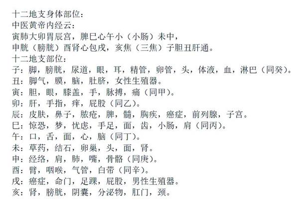 天干地支与脏腑经络—天干地支配脏腑口诀