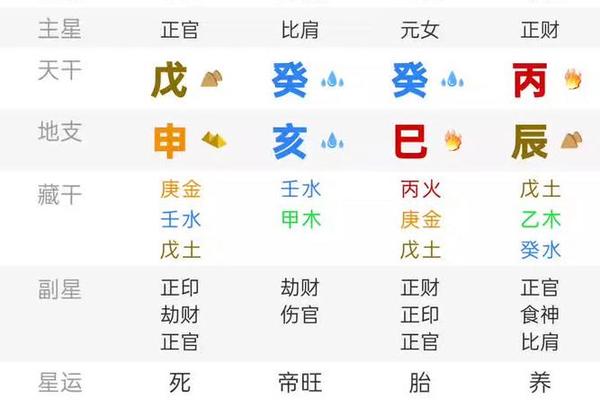 易奇文化天干地支 易奇八字命盘(免费版)下载