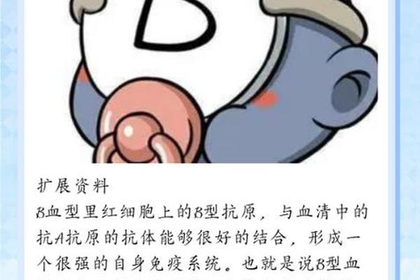 妈是a血型爸是b血型、B型血为啥叫绝命血