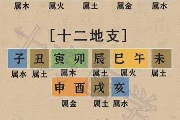 天干地支拼音有哪些-天干地支五行对照表