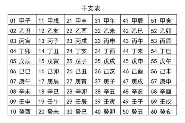 怎么懂天干地支(日天干地支怎么推算)