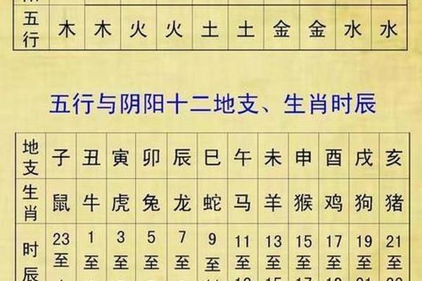 掐指怎么算天干地支(天干地支五行对照表)