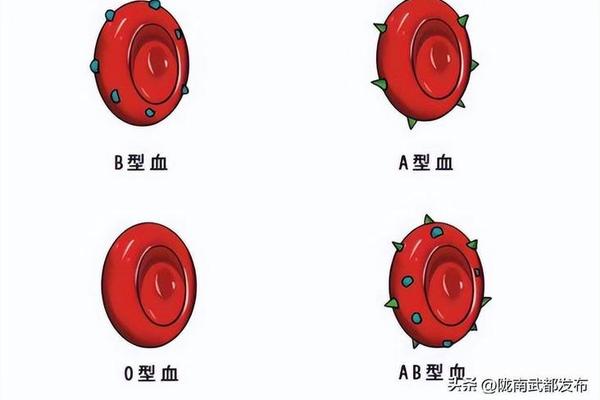 心理学血型A-A型血为什么叫危险血