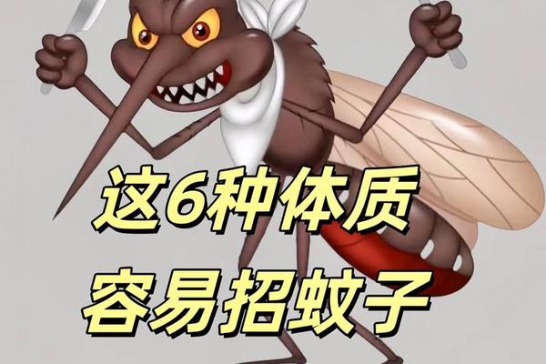 A血型的人招蚊子,有的人不招蚊子是与血型有关系
