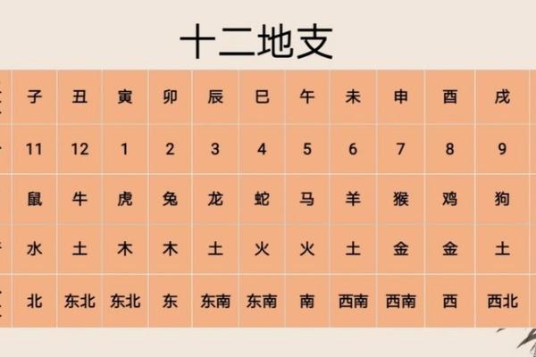 天干地支大全介绍(10天干12地支顺口溜)