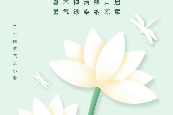 小暑节气天干地支、二十四节气与天干地支