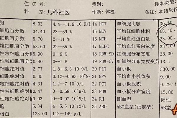 血型A 安达曼,a+血型是什么意思