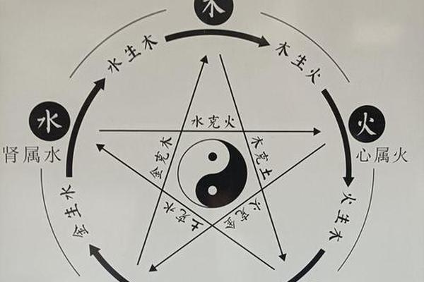 肝的天干地支-五脏对应的天干地支