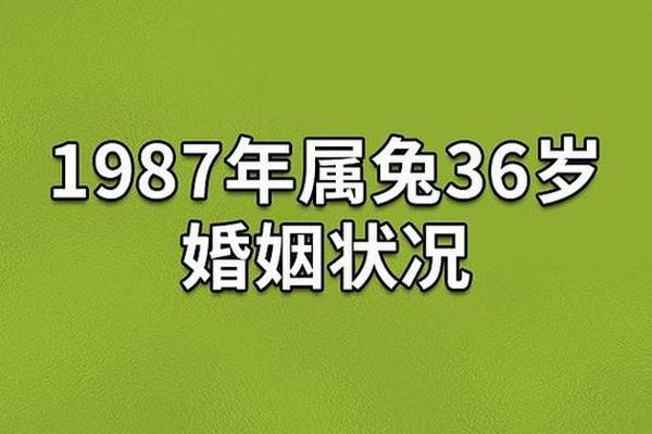 87年属兔的天干地支是(1987年属兔的最佳配偶)