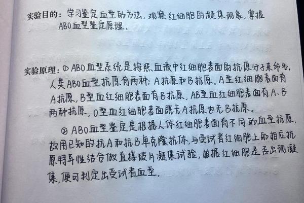 a血型的实验总结 血型的实验报告