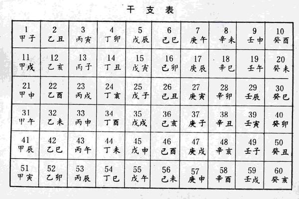 天干地支的水蛇好吗、用神在天干还是地支好