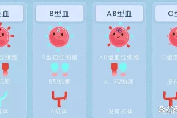 ab a血型的孩子 ab型和o型生的孩子会溶血吗