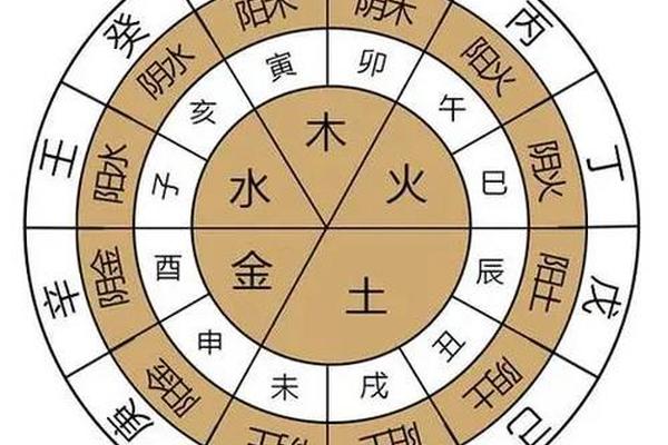 甲木女天干地支喜忌(甲木对应的身体部位)