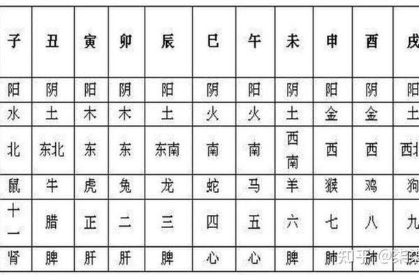 天干地支牛骨图-十二地支图片大全大图