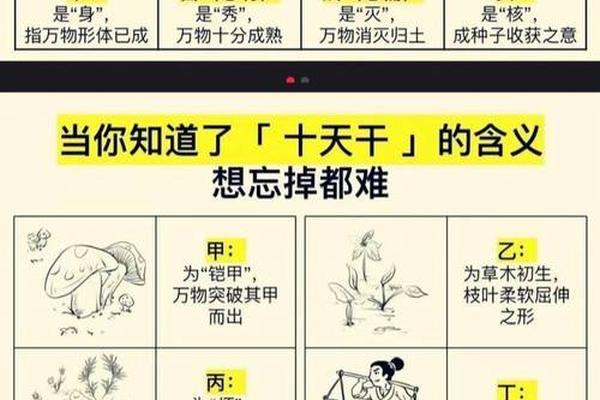天干地支儿歌版_天干地支拼音版