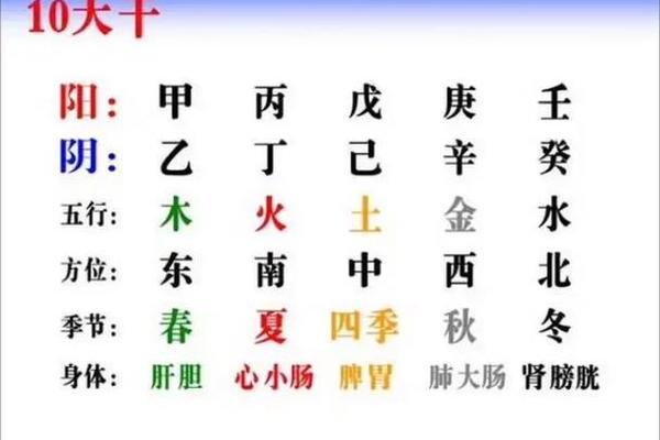 天干地支4个己(天干地支五行对照表)