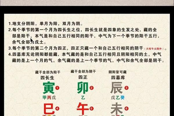 天干地支代表健康(八字天干地支各代表什么意思)