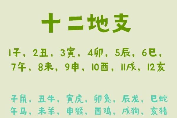 天干地支是12(十二天干地支怎么读)