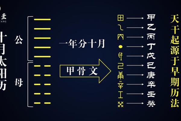 天干地支造字—天干地支是谁发明的