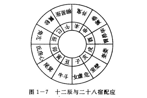 天干地支股市应用 天干地支取数的应用