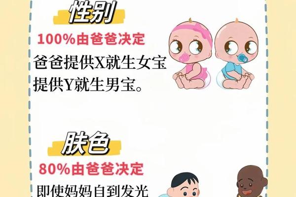 父亲a血型儿女也是a血型吗—女儿的血型一般随父亲