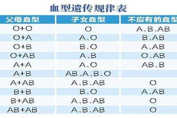 丈夫b血型妻子a血型—老婆是o型血老公要查什么