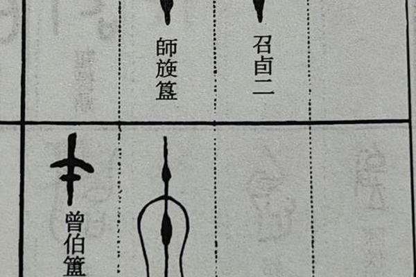 甲骨文天干地支(甲骨文天干地支怎么写图片)