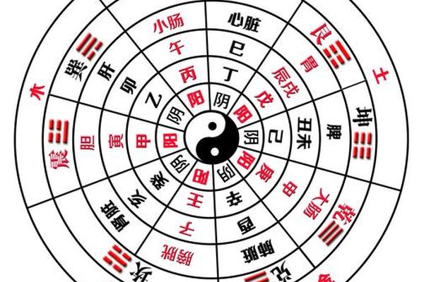 天干地支指数是怎样来的、天干地支预测股市图表