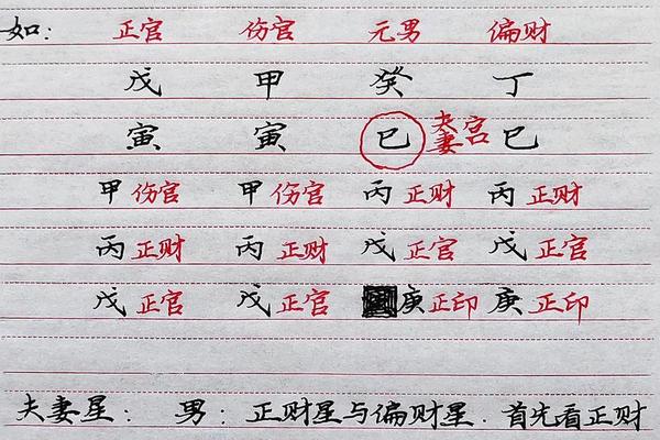 命宫天干地支看配偶—命宫看配偶