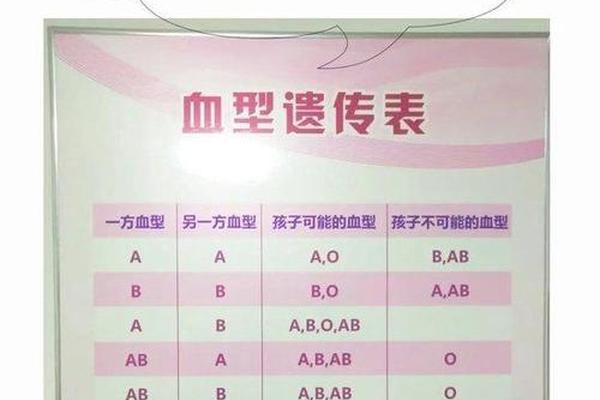 血型报告A 4,4个血型哪个血型最好
