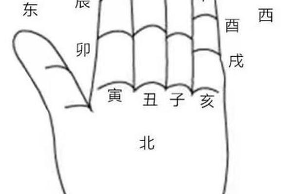 手掌盘天干地支(手掌记十天干十二地支)