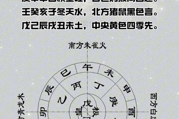 老虎的天干地支,卯时的天干地支是什么