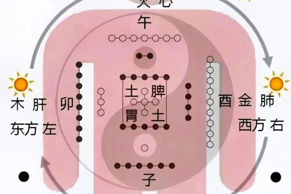 天干地支与宇宙星空;宇宙与人体对应关系图