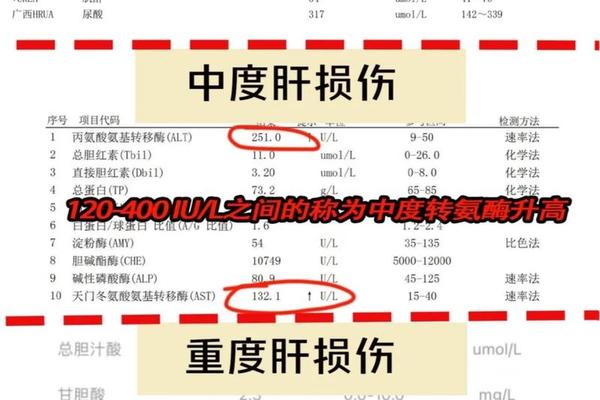 a血型的转氨酶、转氨酶的代号是什么