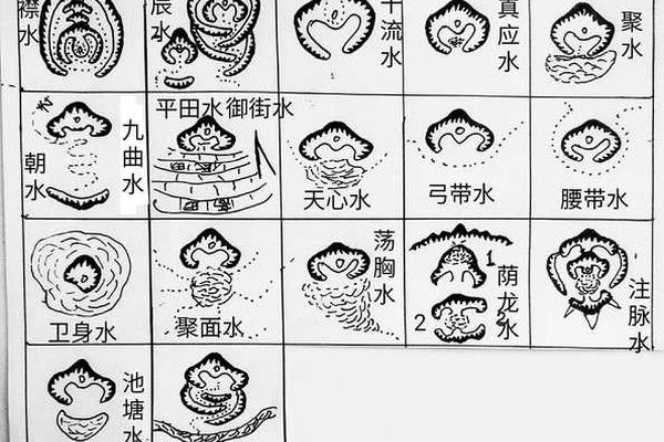 坟山风水学入门