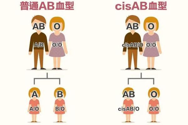 女人a男人o血型(妈妈A型血 爸爸O型血)