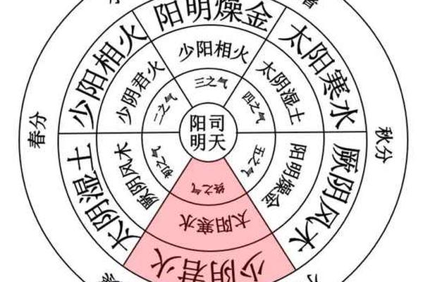 天干地支五运六气象数 五运六气详解与应用