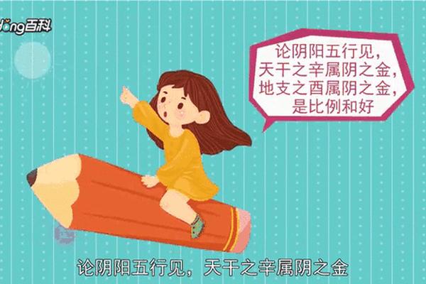 阴阳天干地支动图—十二天干地支阴阳对照表